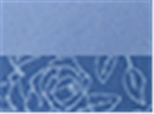 Swatch for Periwinkle/ Floral