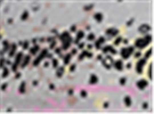 Swatch for Trout Spots/ Grey