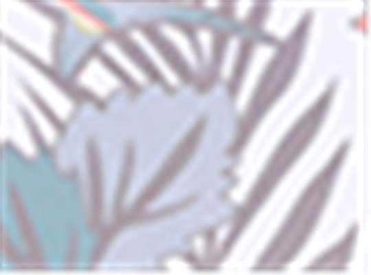 Swatch for Whitewash