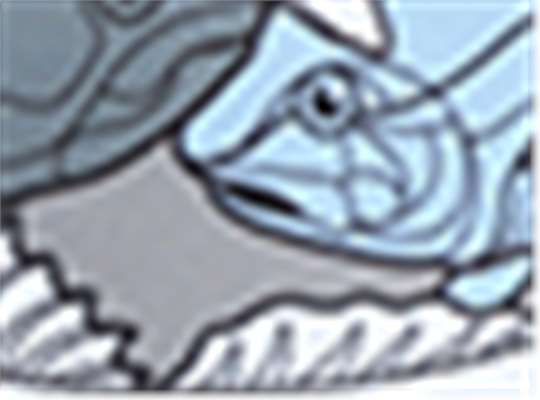 Swatch for Blue/ White