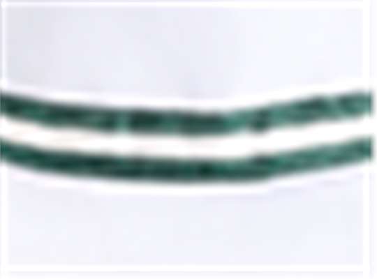 Swatch for White/ Green