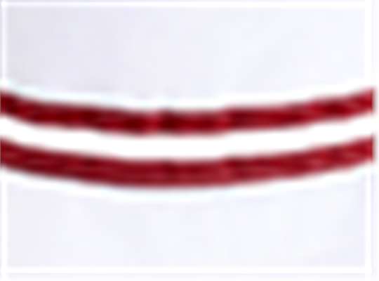 Swatch for White/ Maroon