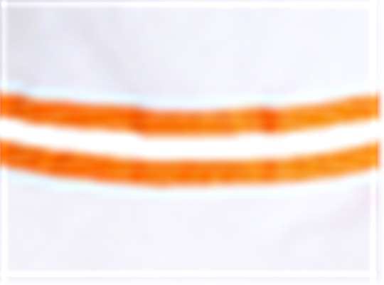 Swatch for White/ Orange