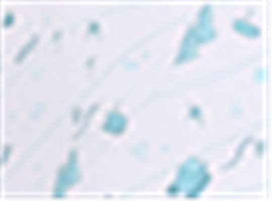 Swatch for Winter Blue