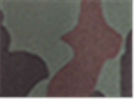 Swatch for Frog Skin Camo/ Green