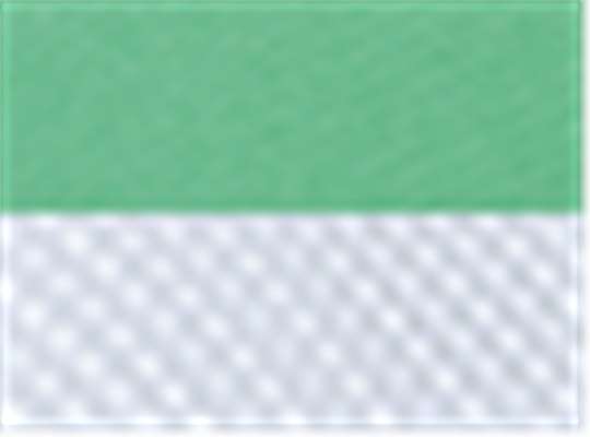 Swatch for Light Green/ White