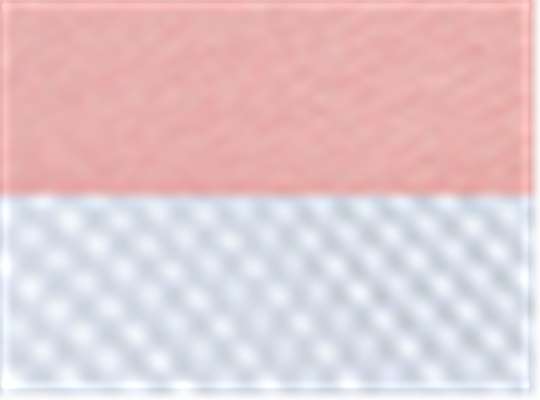 Swatch for Creamsicle Pink/ White