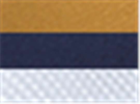 Swatch for Mustard Yellow/ Navy/ White