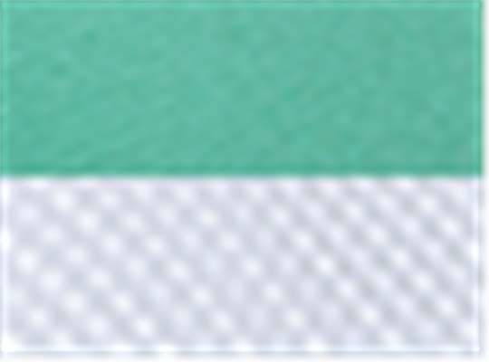 Swatch for Oasis Green/ White