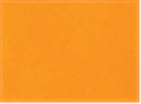 Swatch for Athletic Gold