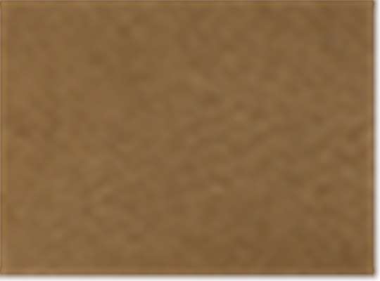 Swatch for Coyote Brown