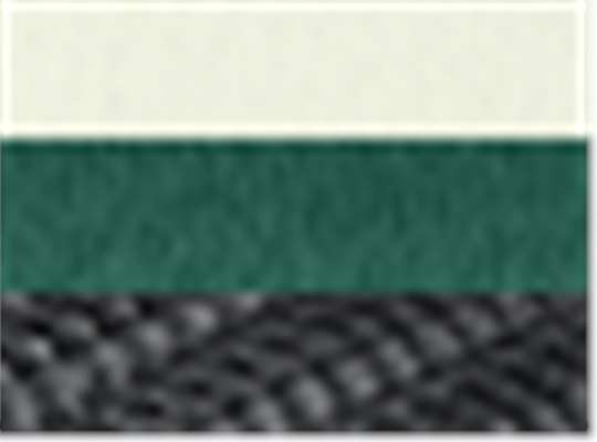 Swatch for Cream/ Green/ Black