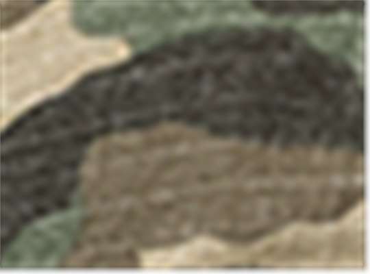 Swatch for Army Camo