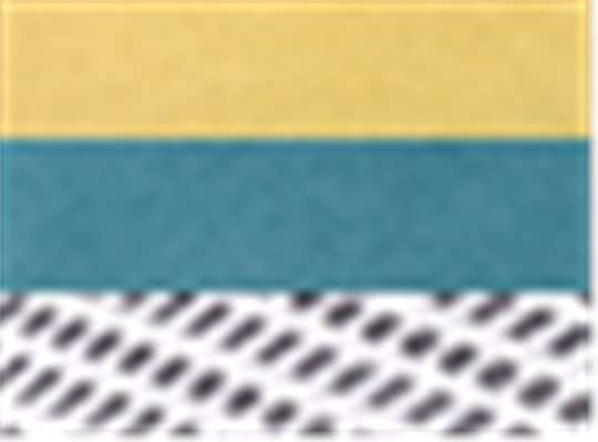 Swatch for Yellow/ Marine/ White