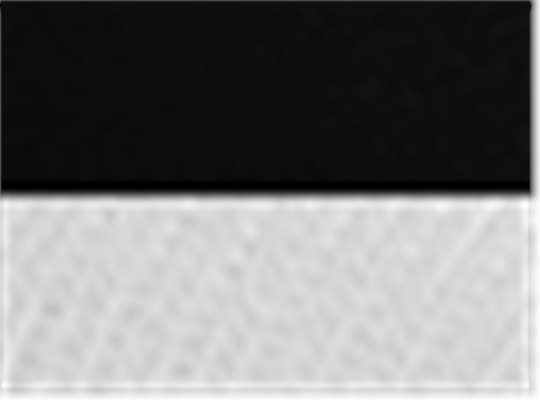 Swatch for Chino Black/ White