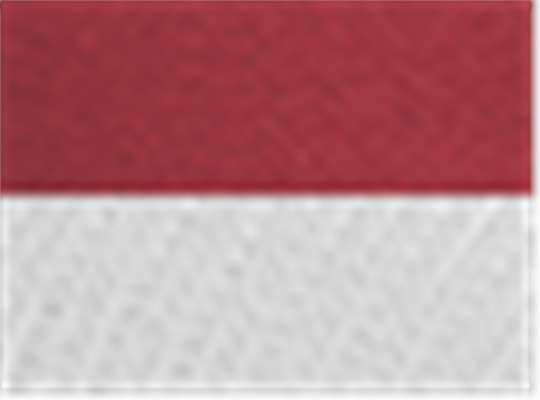 Swatch for Chino Cardinal/ White