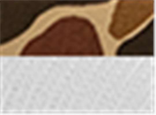 Swatch for Chino Duck Camo/ White