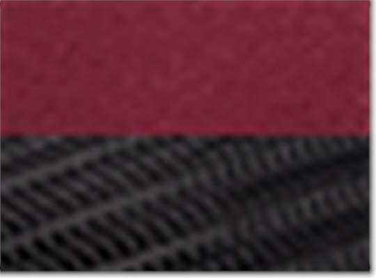 Swatch for Chino Maroon/ Black