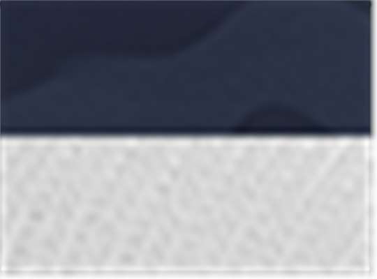 Swatch for Navy Camo/ White