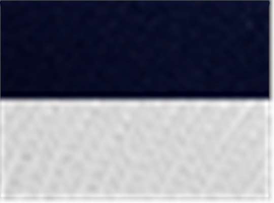 Swatch for Chino Navy/ White