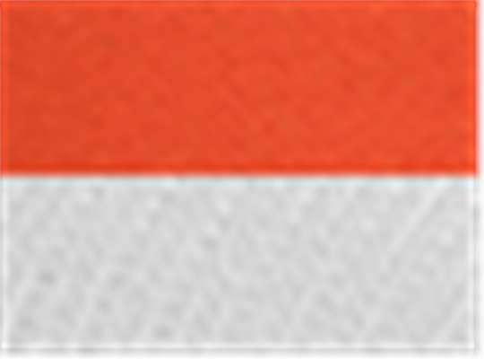 Swatch for Chino Orange/ White