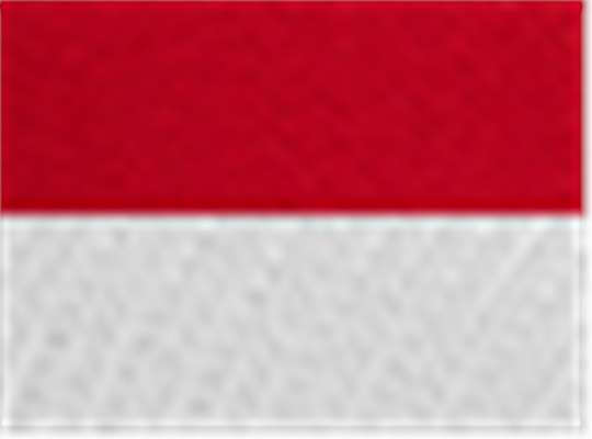 Swatch for Chino Red/ White