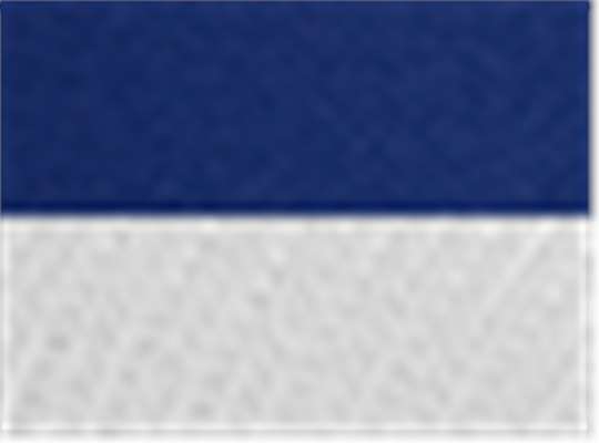Swatch for Chino Royal/ White