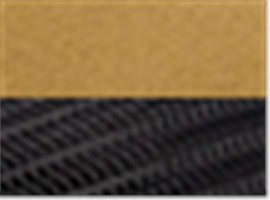 Swatch for Chino Vegas Gold/ Black