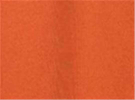 Swatch for Burnt Orange