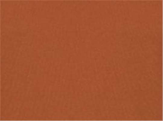 Swatch for Texas Orange