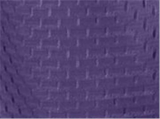 Swatch for Purple