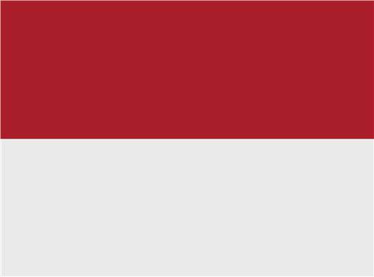 Swatch for Red/ White