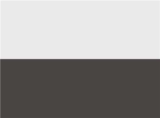 Swatch for White/ Graphite