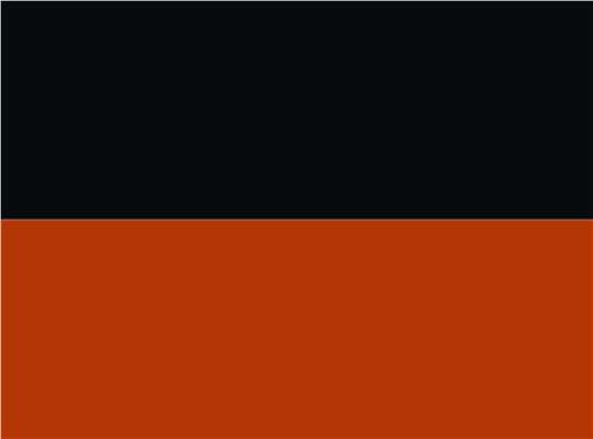 Swatch for Black/ Burnt Orange