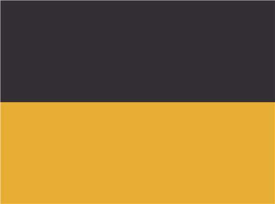 Swatch for Black/ Gold