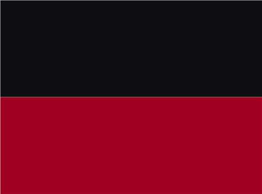 Swatch for Black/ Red