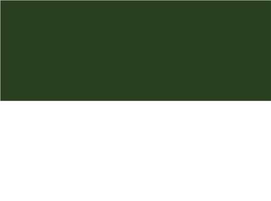Swatch for Forest/ White