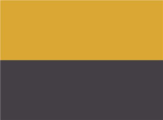 Swatch for Gold/ Graphite
