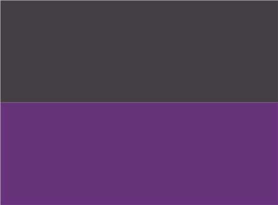 Swatch for Graphite/ Purple