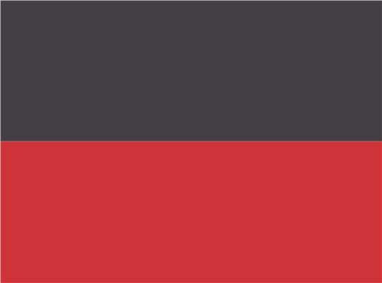 Swatch for Graphite/ Red