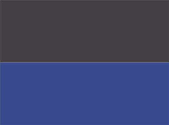 Swatch for Graphite/ Royal