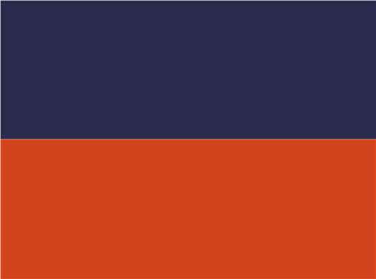 Swatch for Navy/ Burnt Orange