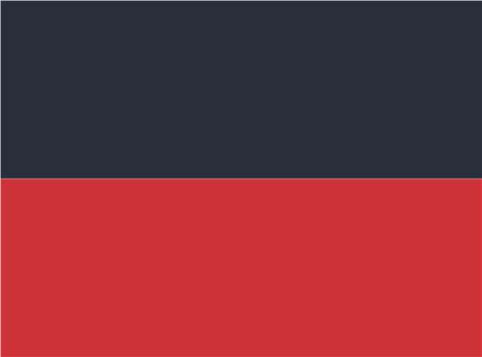 Swatch for Navy/ Red