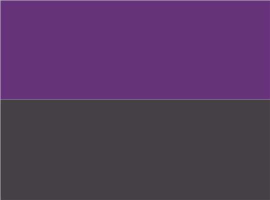 Swatch for Purple/ Graphite