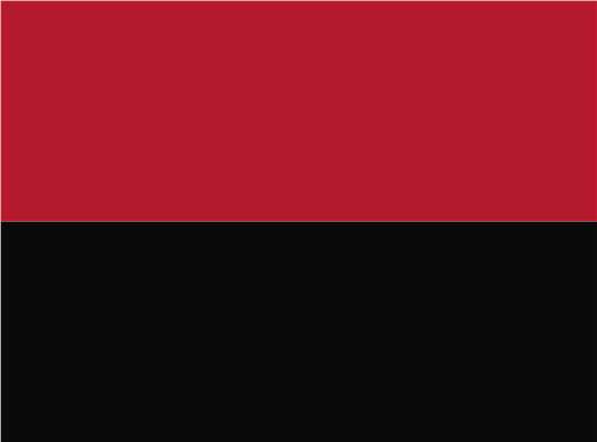 Swatch for Red/ Black