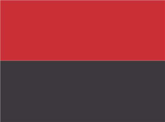 Swatch for Red/ Graphite