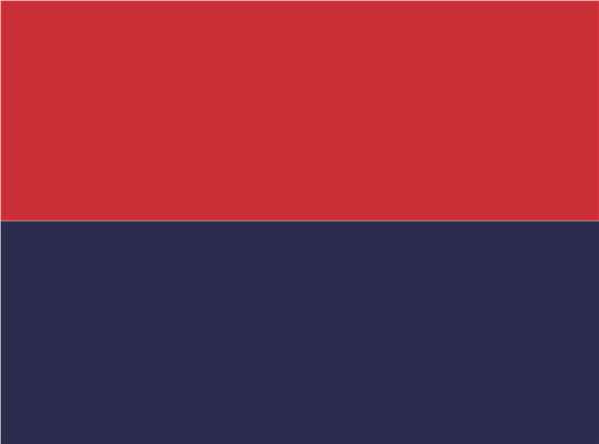 Swatch for Red/ Navy
