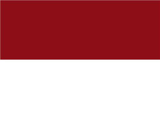 Swatch for Red/ White