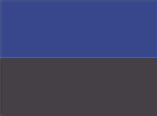 Swatch for Royal/ Graphite