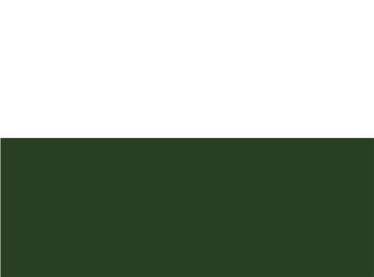 Swatch for White/ Forest